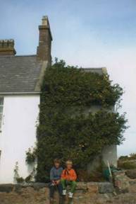 The Original Bardsey Tree