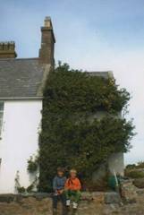 The Original Bardsey Tree